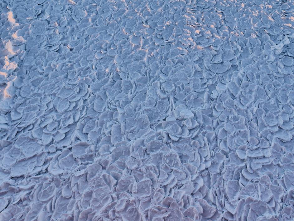 Ledena zmajska koža na Antarktici