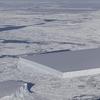 Četvrtasti ledeni brijeg na Antarktici