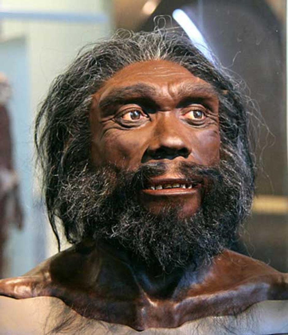 Prikaz Homo Heidelbergensisa | Author: Wikimedia Commons