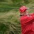 Donald Trump visit to Ireland
