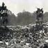 Erie canal soda pop festival 1972.