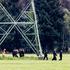 Following attacks on the power grid in southern Brandenburg