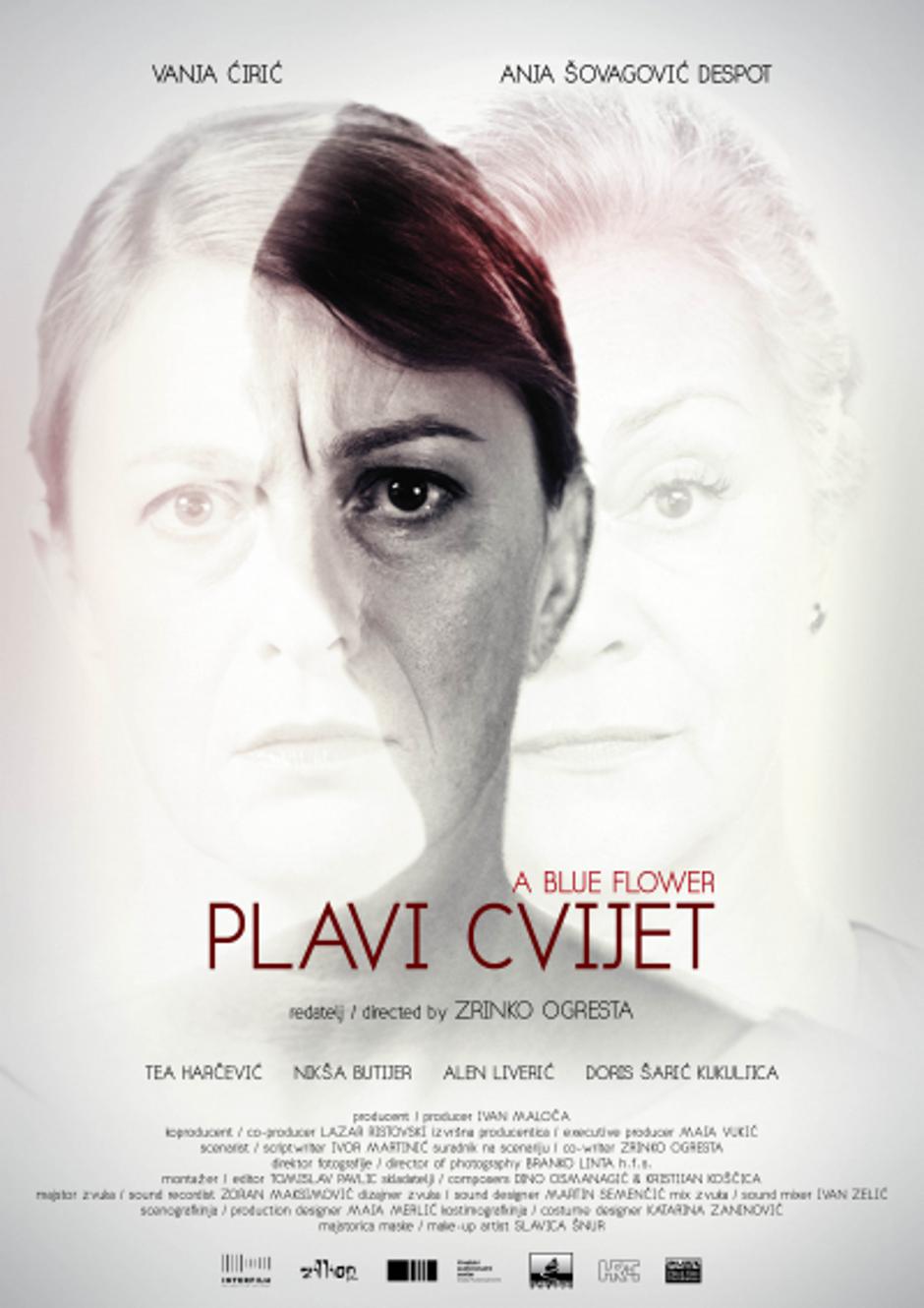  | Author: PROMO