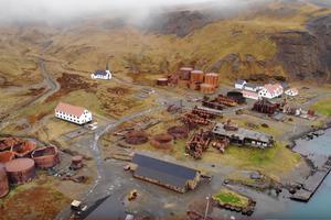Otok na kojem su se ubijali kitovi Grytviken