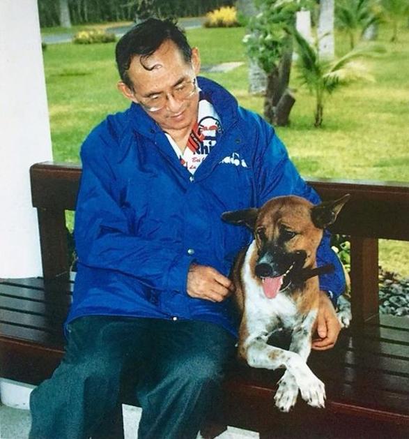 Kralj Bhumibol Adulyadej obožavao je pse