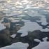 Otapanje leda na Arktiku