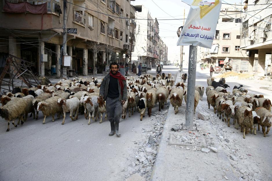 Damask | Author: BASSAM KHABIEH/REUTERS/PIXSELL