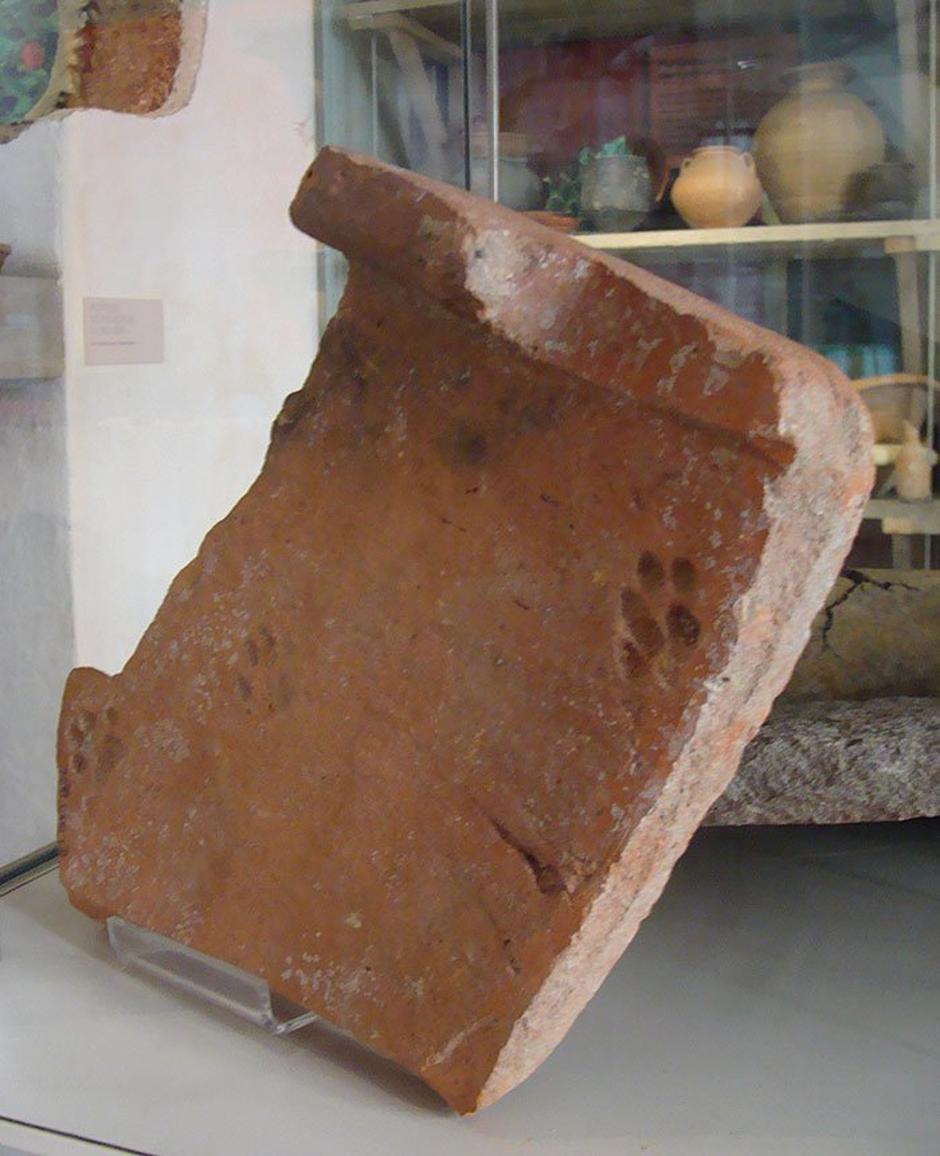 Otisak mačjih šapa na antičkom crijepu | Author: Gloucester City Museum
