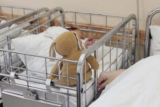 Rodilište u Koprivnici 2014.