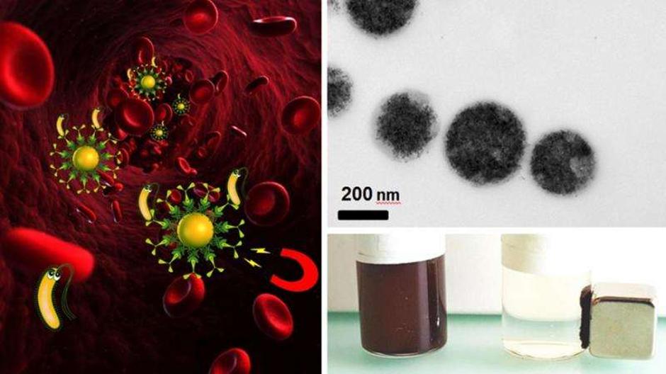 Magnetna metoda izvlačenja bakterija iz krvi | Author: Laboratory for Materials Science and Technology