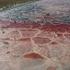 ALXA, CHINA - AUGUST 22: An aerial view shows the heart-shaped Wulan Lake surrounded by salt patterns in the Tengger Des