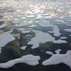 Klimatske promjene utječu na ubrzano otapanje vječnog leda