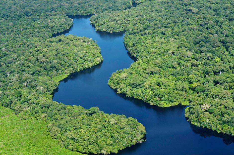 Amazonska prašuma | Author: CIFOR/ Flickr/ CC BY 2.0