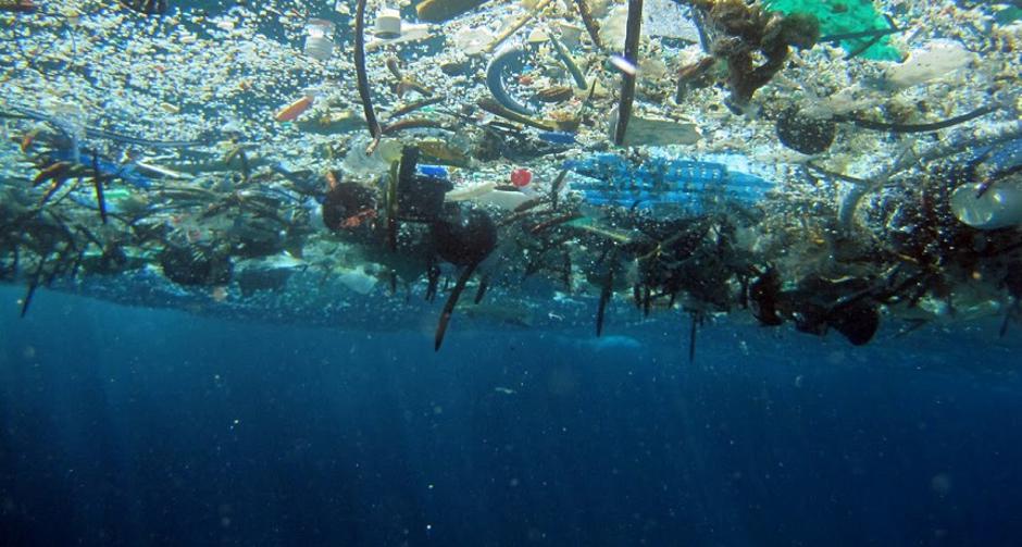Plastično smeće u moru | Author: NOAA