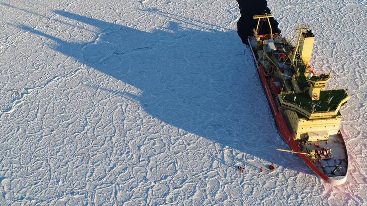 Ledena zmajska koža na Antarktici