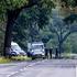 Following attacks on the power grid in southern Brandenburg