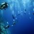 Five Italian divers died in Maldives - Illustration