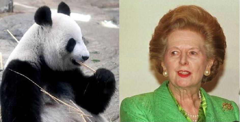 Margaret Thatcher nije voljela pande