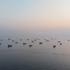 A drone view shows vessels in the Strait of Hormuz, as seen from Musandam