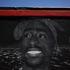 Tupac Shakur Mural