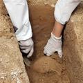 Vaćani: Arheolozi uzimaju uzorke kostiju za slanje na DNA analizu u Veliku Britaniju