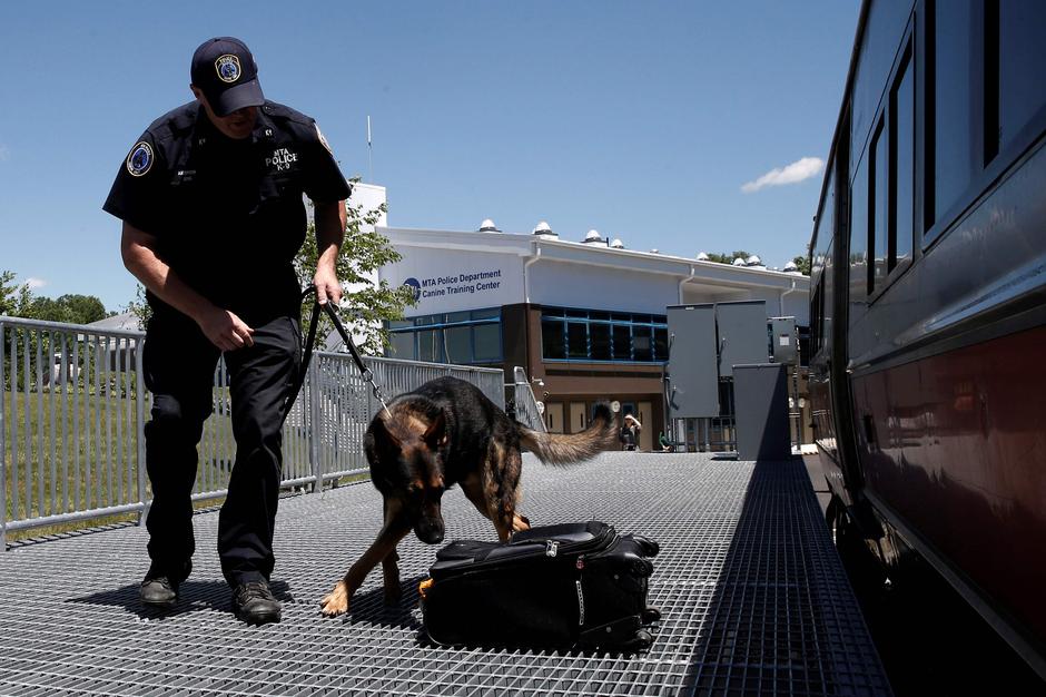 Policijski pas traži eksploziv | Author: Reuters/Mike Segar