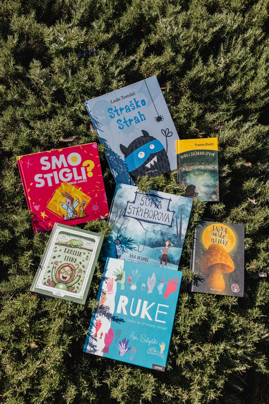  | Author: Petra Tadić Majetić