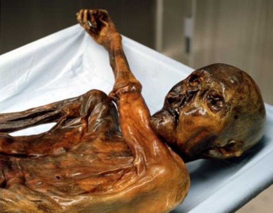 Ötzi, Tirolski ledeni čovjek umro prije 5300 godina, pronađen u ledu 1991. u Alpama