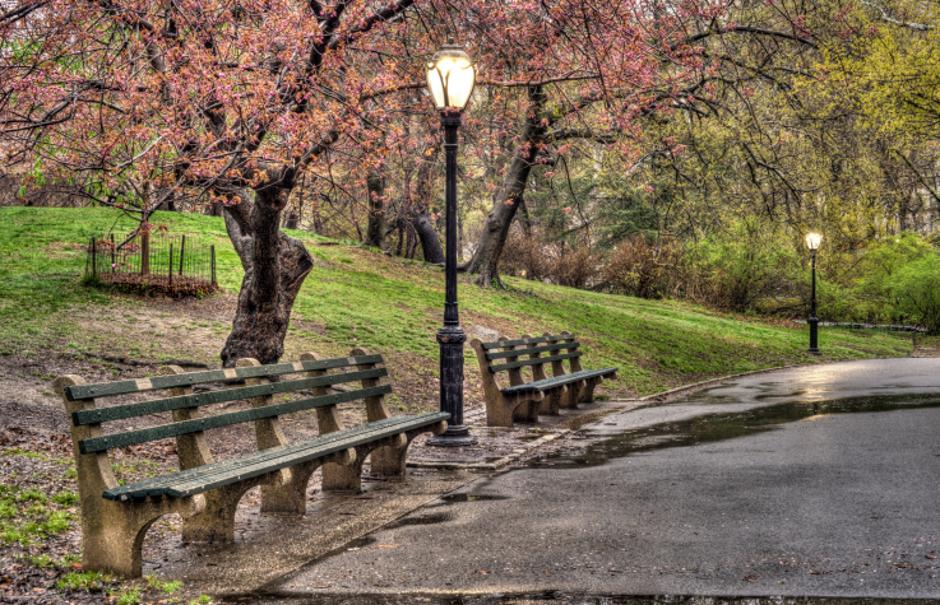 Central Park | Author: Thinkstock
