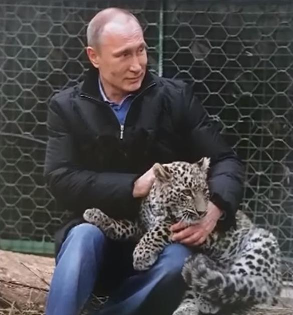 Kalendar za 2019. godinu sa likom Vladimira Putina
