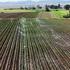 A drone view shows rows of vegetables being irrigated at a farm, in Johannesburg