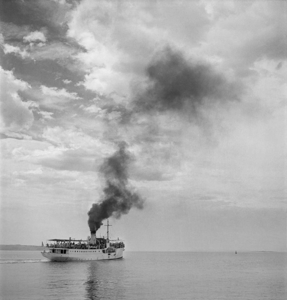  | Author: Tošo Dabac/MSU