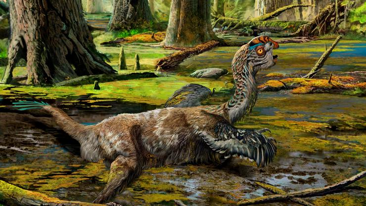 Tongtianlong limosus, dinosaur pronađen u Kini, bliski rođak ptica