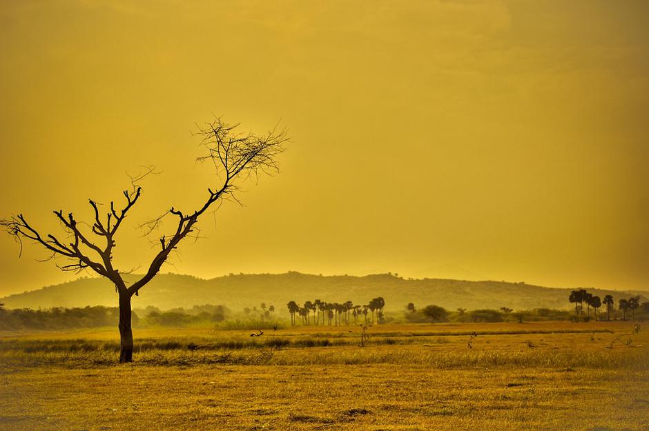 Vrućine, suša, klimatske promjene | Author: Pixabay