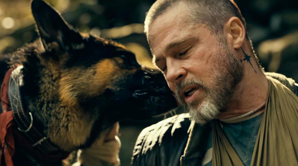 Novi film Brada Pitta sa psom: Uzmite maramice, kino je jecalo. Ali imamo i zamjerku