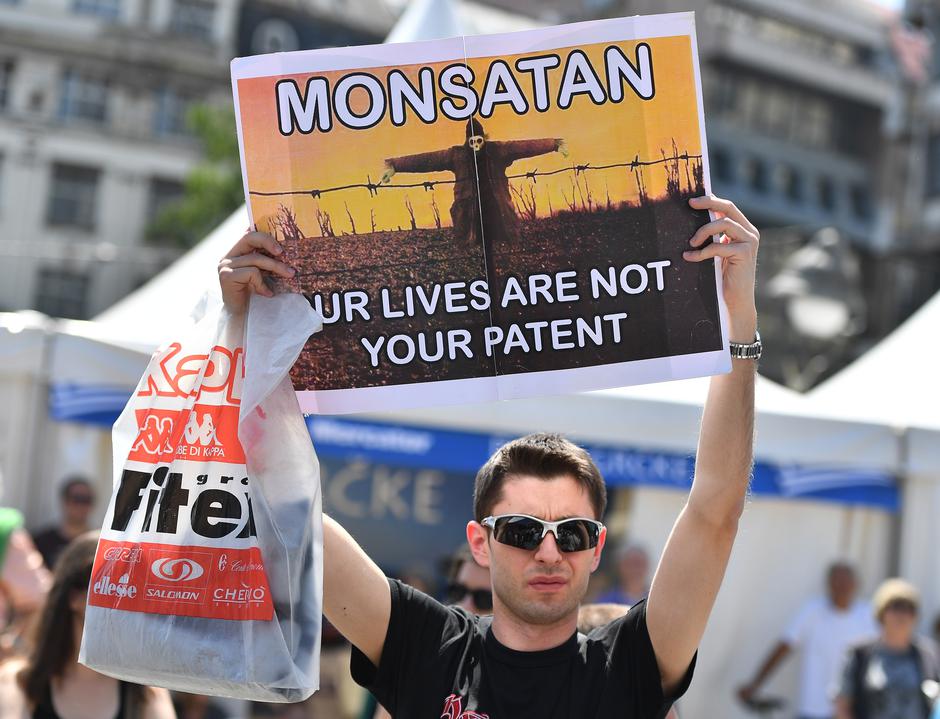Monsanto, GMO | Author: Srđan Ilić/PIXSELL
