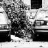 Rijeka: Eksplozija bombe pred zgradom MUP-a 20. listopada 1995. godine