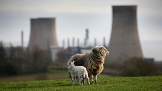 Nuklearni kompleks Sellafield