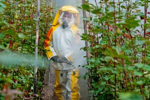 Pesticidi . ilustracija