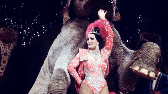 circo orfei