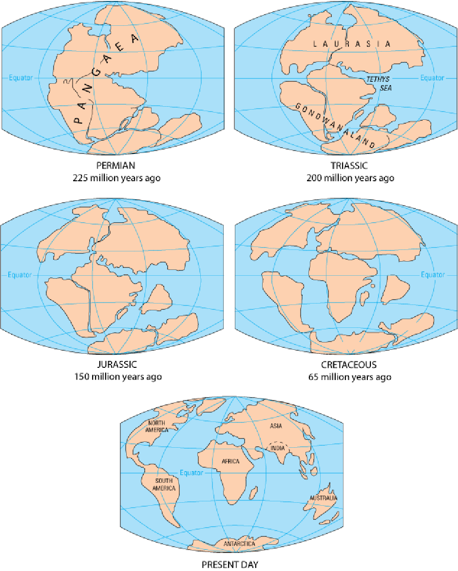 Pangea | Author: Wikipedia