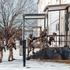 US Airborne conducts K-9 training