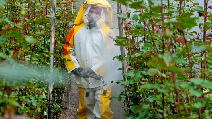 Pesticidi . ilustracija