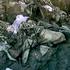Srebrenica: Grad u kojemu se dogodio genocid nad bošnja?kim stanovništvom