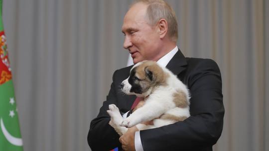 Vladimir Putin