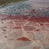 ALXA, CHINA - AUGUST 22: An aerial view shows the heart-shaped Wulan Lake surrounded by salt patterns in the Tengger Des
