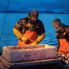 The Wider Image: No one owns our Arctic land, we share it, say Greenland's Inuit