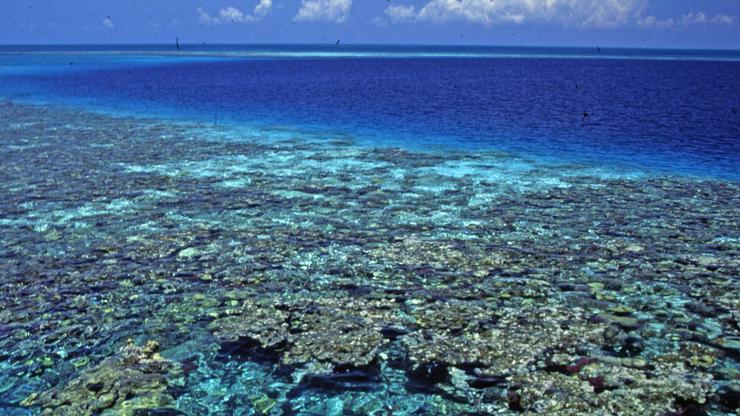 Koraljni greben Belize