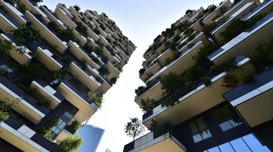 Gradovi se kuhaju pod betonom: Drve&cacute;e vi&scaron;e nije ukras ve&cacute; pitanje opstanka