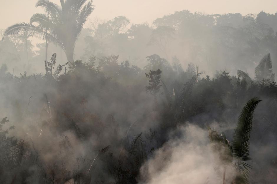 Amazonska prašuma u plamenu | Author: REUTERS